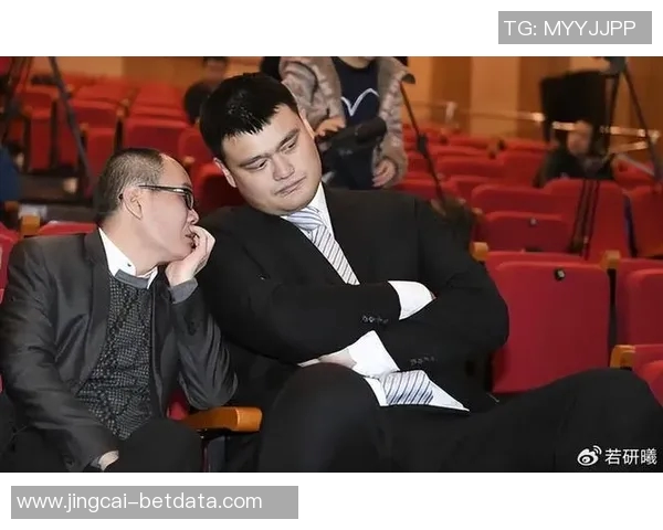 瘦版姚明的篮球梦与人生哲学：从高峰到低谷的成长之路